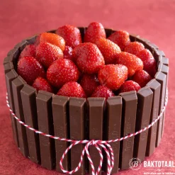 Aarts Fruitvulling Aardbeien 580ml* Fruit En Vanille|Fruitvullingen