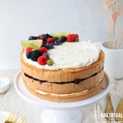 BrandNewCake Biscuit-mix Suikervrij & Lactosevrij 400g* Banketmixen|Bekijk Alle Mixen