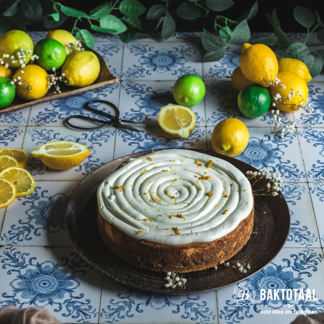 BrandNewCake Kruimelbodemmix (Digestive Crumbs) 400g* Banketmixen|Bekijk Alle Mixen