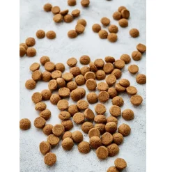 BrandNewCake Pepernoten-mix 400 gram* Banketmixen|Bekijk Alle Mixen