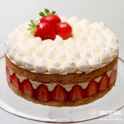 BrandNewCake Spuitmondje Glad #1A* Spuitmondjes