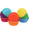 PME Cupcake Vormpjes Regenboog Mix 100 stuks* Bakvormen Papier
