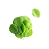 Dobla Chocoladedecoratie Blaadjes Mini Groen (1kg)* Chocolade Decoraties|Chocolade Decoraties