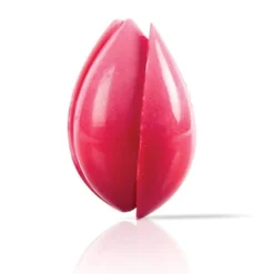 Dobla Chocoladedecoratie Tulp Rood (20 stuks)* Chocolade Decoraties|Chocolade Decoraties