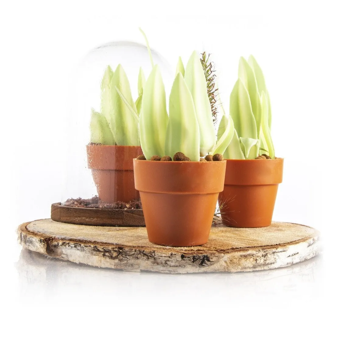 Dobla Chocoladedecoratie Blad Groen/Wit (260 stuks)* Chocolade Decoraties|Chocolade Decoraties