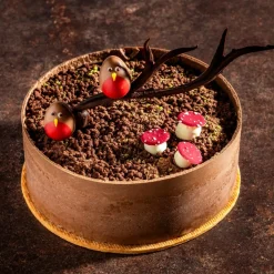 Dobla Chocoladedecoratie Roodborstje (36 stuks)*** Chocolade Decoraties|Chocolade Decoraties