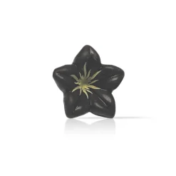 Dobla Chocoladedecoratie Bloem Donker (76 stuks)*** Bloem Decoraties|Chocolade Decoraties