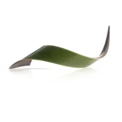 Dobla Chocoladedecoratie Blad Groen (80 stuks)* Chocolade Decoraties|Chocolade Decoraties