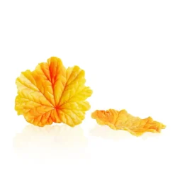 Dobla Chocoladedecoratie Herfstblad Geel (24 stuks)* Chocolade Decoraties|Chocolade Decoraties