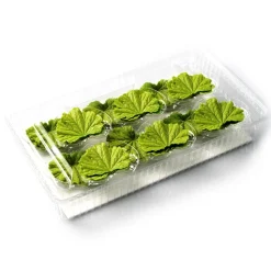 Dobla Chocoladedecoratie Lenteblad Groen (24 stuks)* Chocolade Decoraties|Chocolade Decoraties