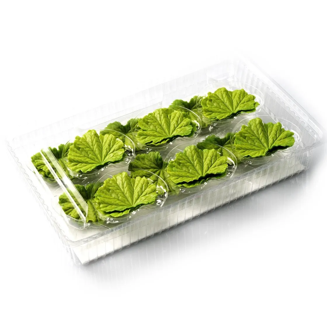 Dobla Chocoladedecoratie Lenteblad Groen (24 stuks)* Chocolade Decoraties|Chocolade Decoraties