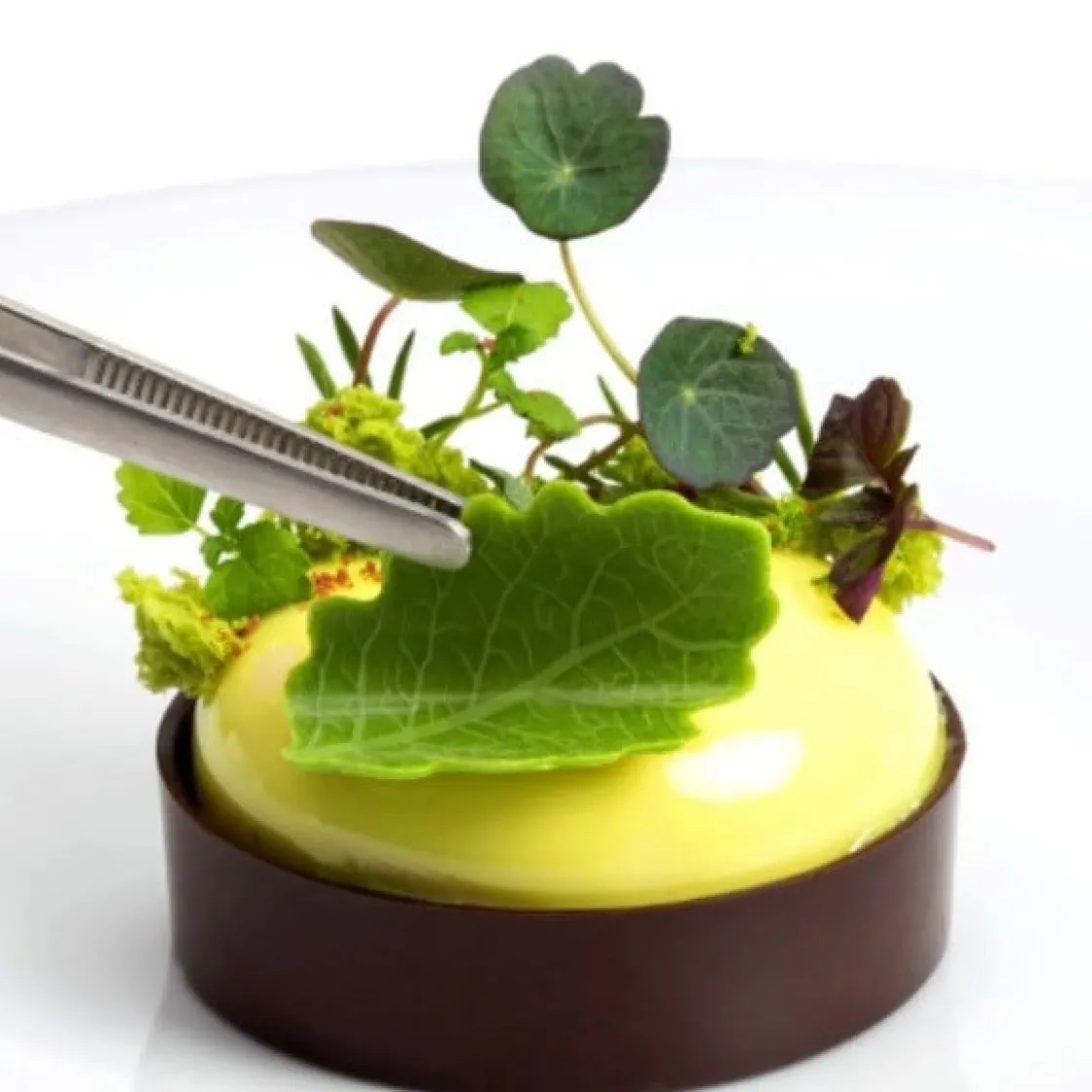 Dobla Chocoladedecoratie Gebogen Blad Groot (108 stuks)* Figuur Decoraties