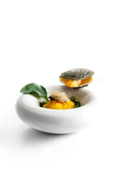 Dobla Chocoladedecoratie Oester (12 stuks)* Chocolade Decoraties|Chocolade Decoraties