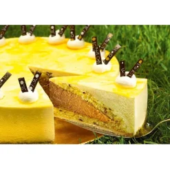 Dreidoppel Compound Perzik/Passievrucht 1kg* Smaakstoffen