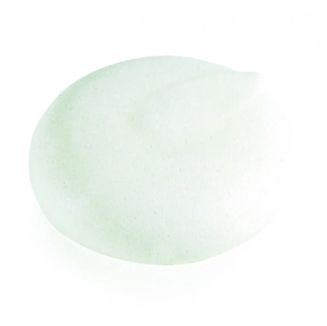 DV Foods DV Meringues Rond Ø6,5x2cm (52st)* Halffabricaten