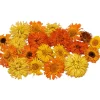Overig Eetbare Gedroogde Goudsbloemen (20 stuks)* Bloem Decoraties