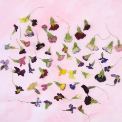 Overig Eetbare Gedroogde Primula (50 stuks)* Bloem Decoraties