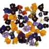 Overig Eetbare Gedroogde Viooltjes (50 stuks)* Bloem Decoraties