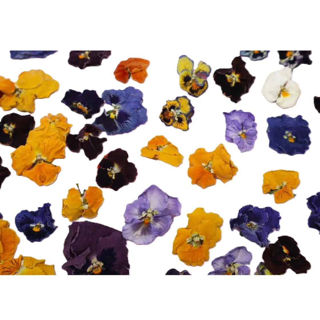 Overig Eetbare Gedroogde Viooltjes (50 stuks)* Bloem Decoraties