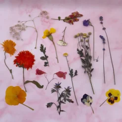 Overig Eetbare Geperste Bloementuin met Steel (15 stuks)* Bloem Decoraties