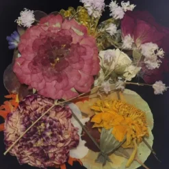 Overig Eetbare Geperste Bloementuin met Steel (15 stuks)* Bloem Decoraties