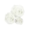 Culpitt Fondant Rozen Wit Assortiment 12 stuks* Bloem Decoraties