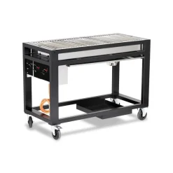 Hendi Gasbarbecue Europa* Bak- En Kookapparaten