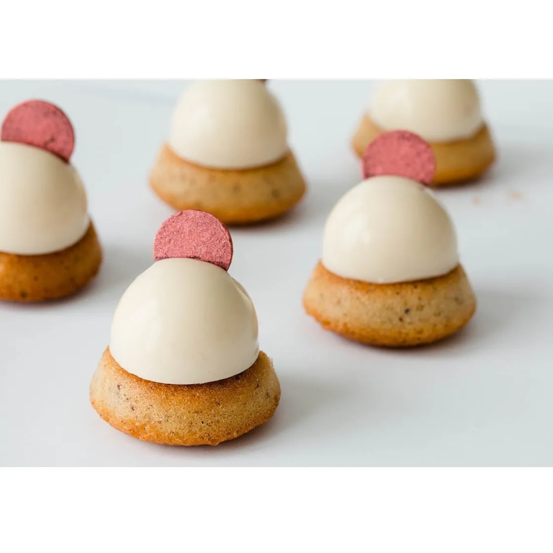 Irca Panna Cotta Mix 1kg* Dessertmixen|Roompoeders