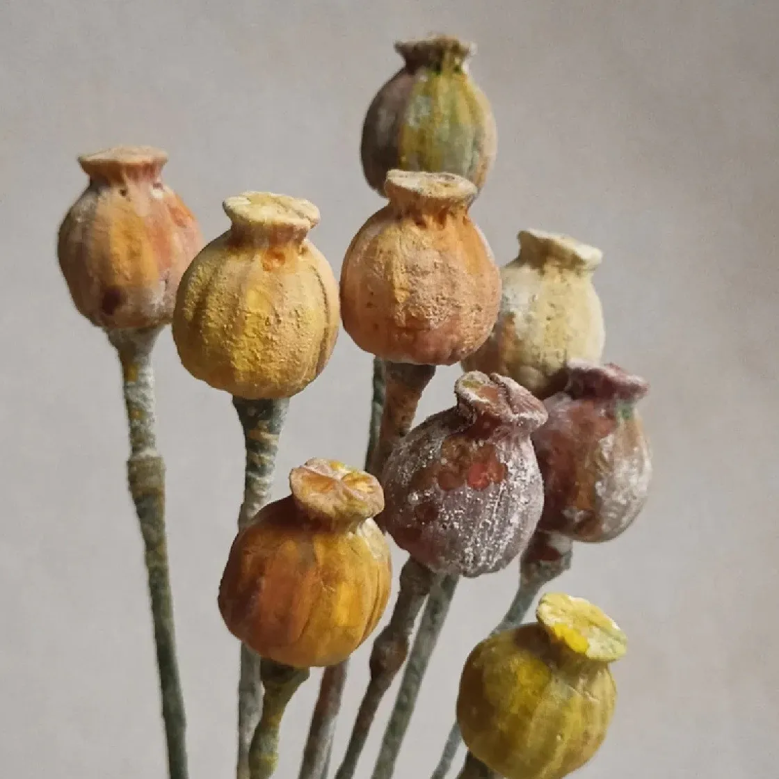 Katy Sue Mold Diverse Bloembladeren* Molds