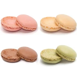 Overig Macarons Assortiment Ø3,5cm 160st.* Halffabricaten
