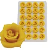 Overig Marsepein Rozen Geel 6-blads 25mm (24 st.)* Bloem Decoraties