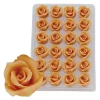 Overig Marsepein Rozen Zalm 6-blads 25mm (24 st.)* Bloem Decoraties