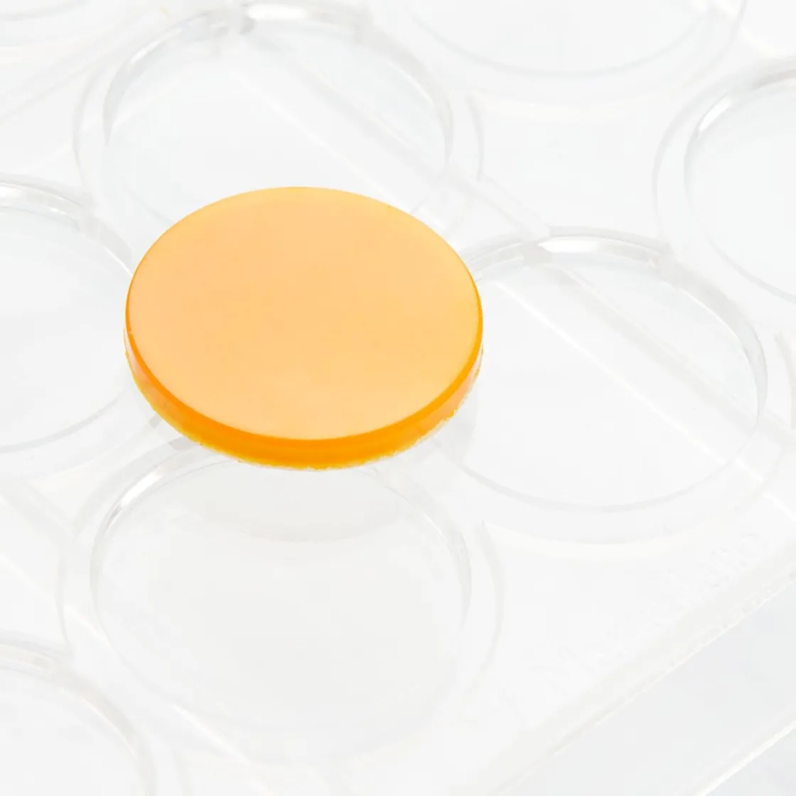 Martellato Chocolademal Circle Disk (24x) Ø33x4mm* Figuur Mallen