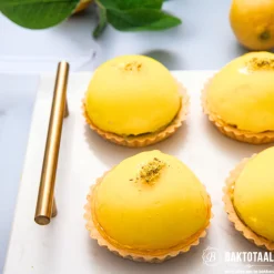 Molen de Hoop Bavarois Citroen 100gr* Dessertmixen|Bavarois