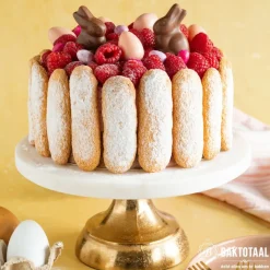 Molen de Hoop Bavarois Framboos 125 gr* Dessertmixen|Bavarois