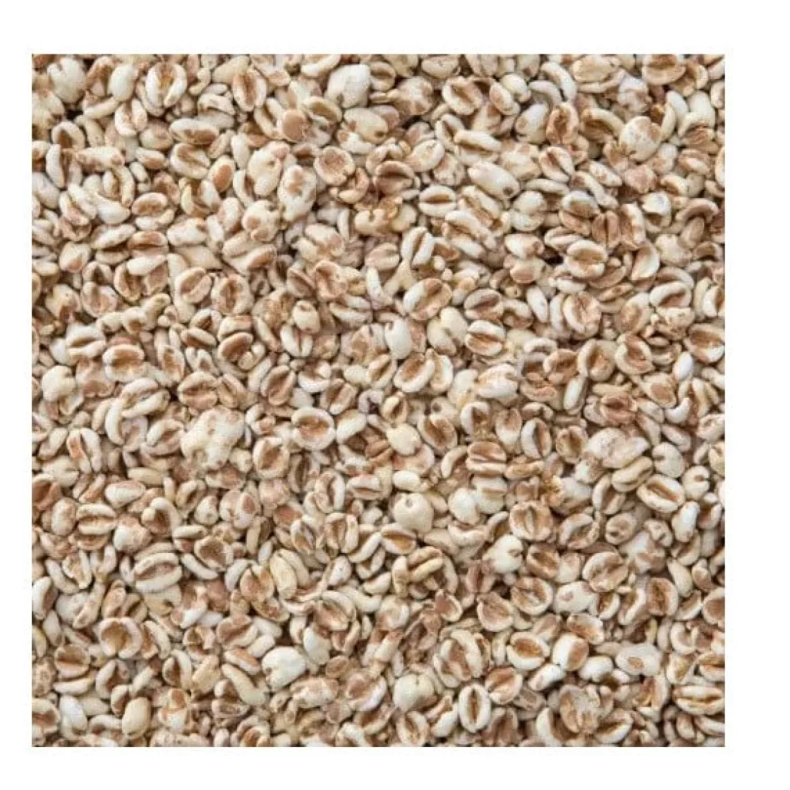 Molen de Hoop Gepofte Spelt 200g* Zaden, Granen, Noten En Vruchten