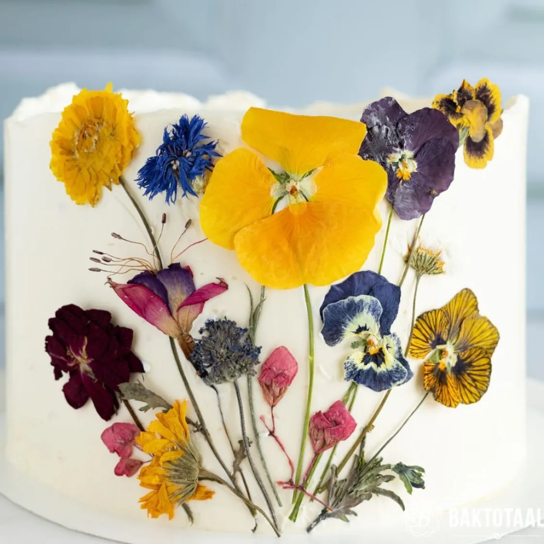 Molen de Hoop Vlaai en Taartfruit Bosvruchten 500 gr.* Fruit En Vanille|Fruitvullingen