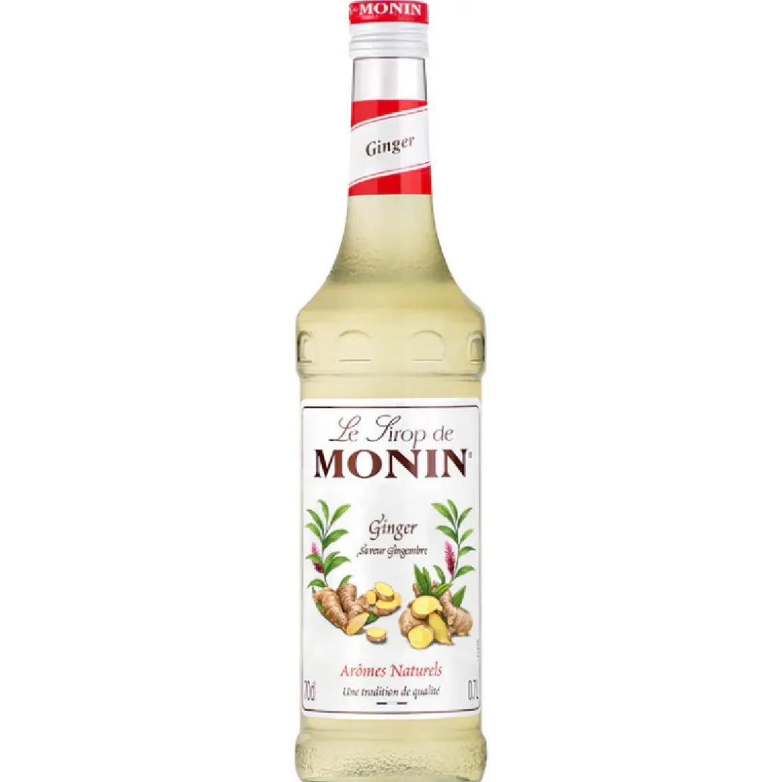 Monin Siroop Gember 700ml* Smaakstoffen