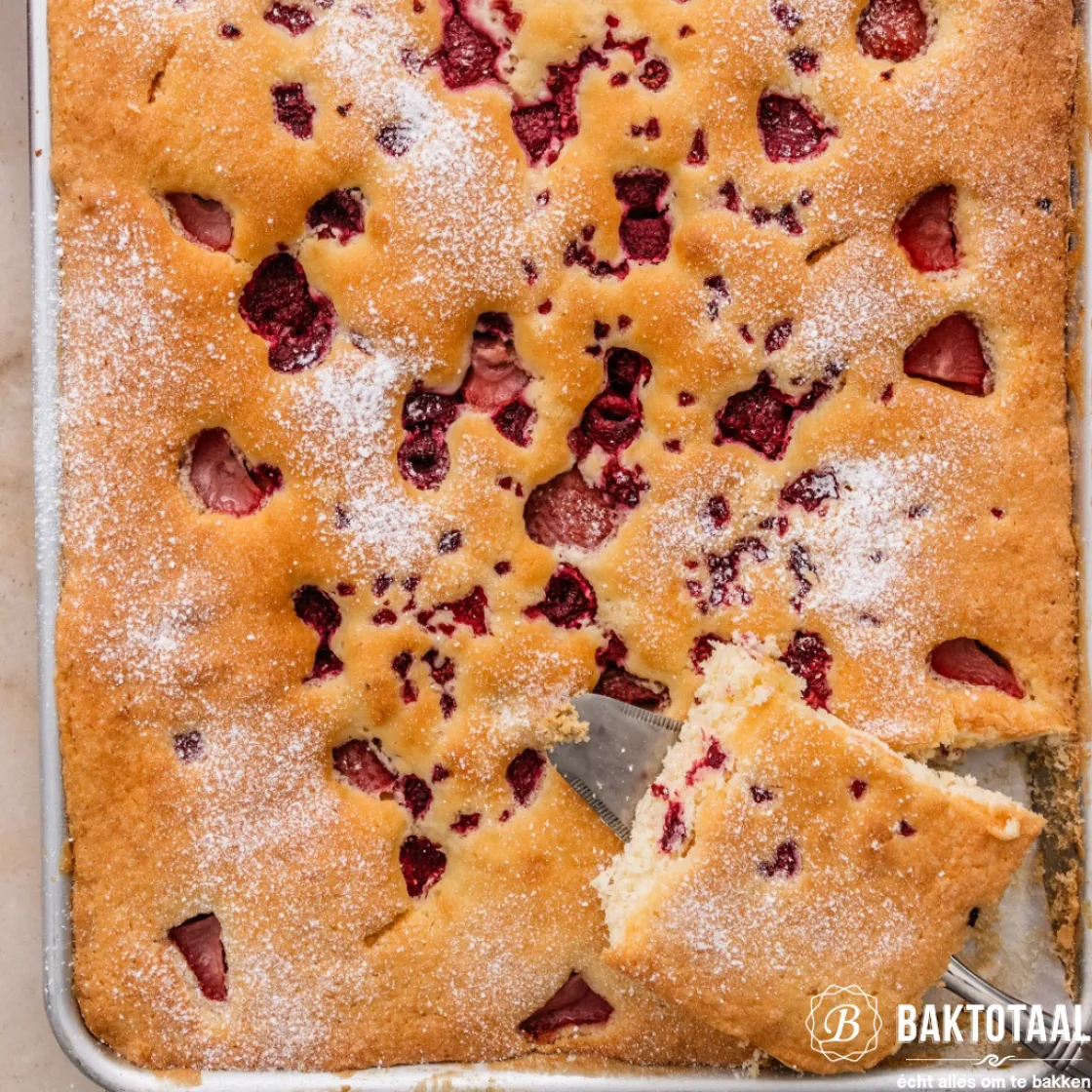 Nordic Ware Taartpan Rechthoek 24x33cm* Rechthoekige Bakvormen