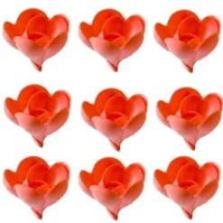 Overig Ouwel rozen Rood, 72 stuks* Bloem Decoraties