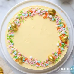 Patisse Springvorm met Lekvrije Bodem Profi Ø24cm* Ronde Bakvormen