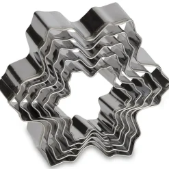 Patisse Uitstekers Sneeuwvlok RVS 5-delig* Figuur Stekers