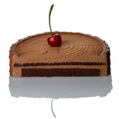 Pavoni Siliconen Vorm Boomstam Ø18,5x4,5cm* Bakvormen Siliconen|Ijs En Dessert Vormen