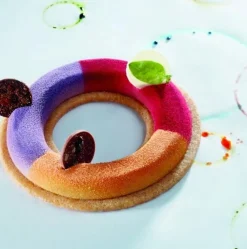 Pavoni Siliconen Vorm Tondo Ø100x10mm (8) 30x40cm* Ijs En Dessert Vormen|Bakvormen Siliconen