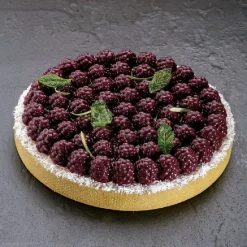 Pavoni Siliconen Vorm Top-Bramen Ø180mm* Ijs En Dessert Vormen|Bakvormen Siliconen