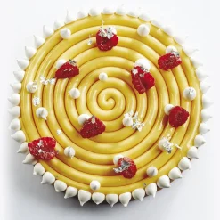 Pavoni Siliconen Vorm Top-Ipnosi Ø160mm* Bakvormen Siliconen|Ijs En Dessert Vormen