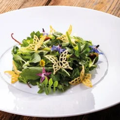 Pavoni Siliconen Vorm Vlinder 40x39mm (12)30x20cm* Ijs En Dessert Vormen|Bakvormen Siliconen