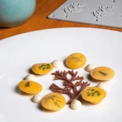 Pavoni Siliconen Vorm Wood Ø78x48mm (10) 30x20cm* Bakvormen Siliconen|Ijs En Dessert Vormen