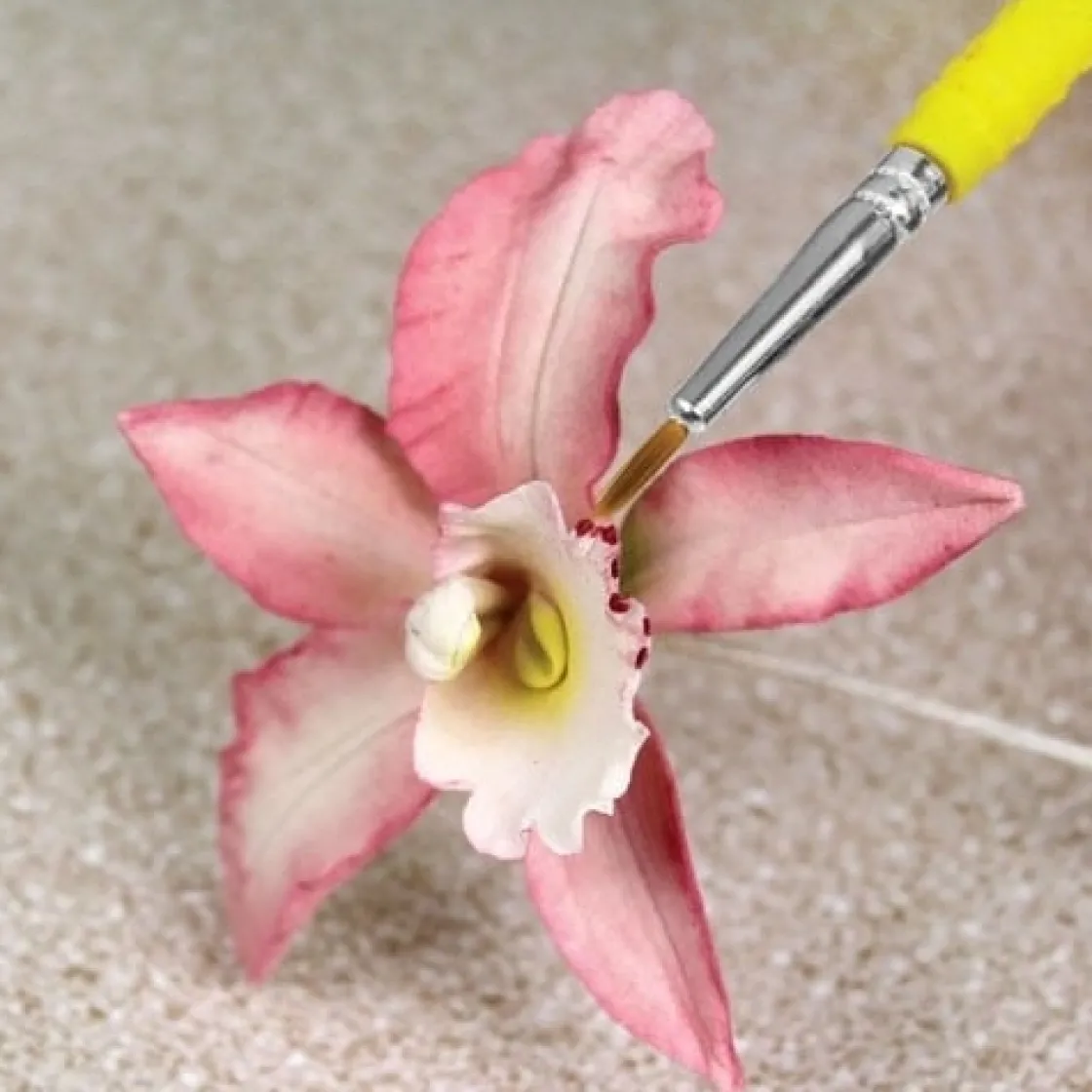 PME Brush & Penselen Fijn Set/5* Kwasten En Penselen