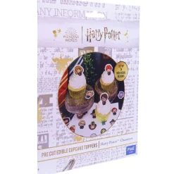 PME Harry Potter Karakters Suikerdecoratie 24st.* Figuur Decoraties